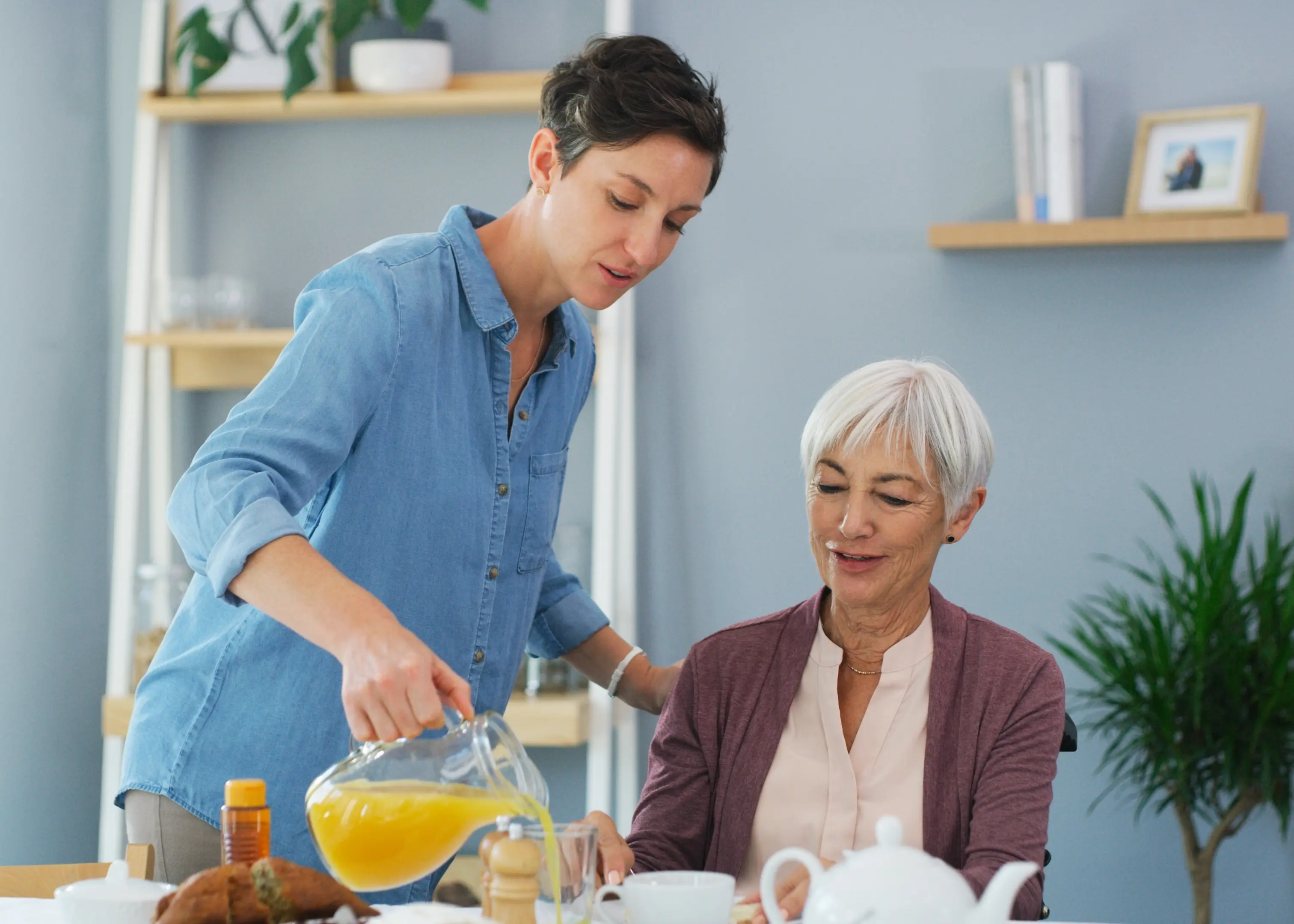 Domestic assistance